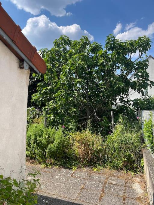 Lovely House Close To Paris วิทรี-ซูร์-แซน ภายนอก รูปภาพ